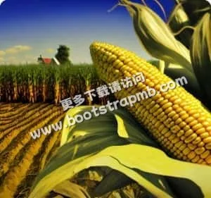 优化平台体验，打造极致观赛 - mk体育