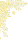 200+ - mk体育